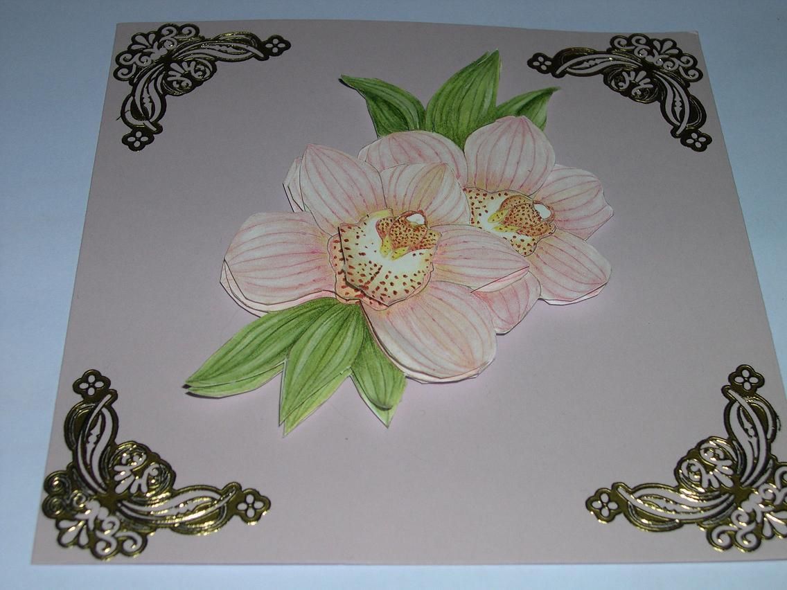 Transfert à Repiquer Catherine - Motifs Orchidée, Floral, Neuf